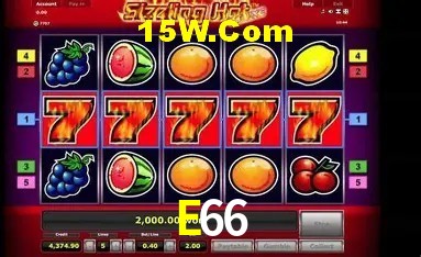 Player Reviews E66